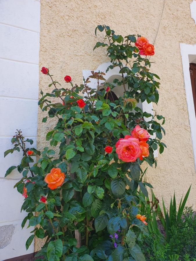 Apartamento Stoffenhof Oberdrauburg